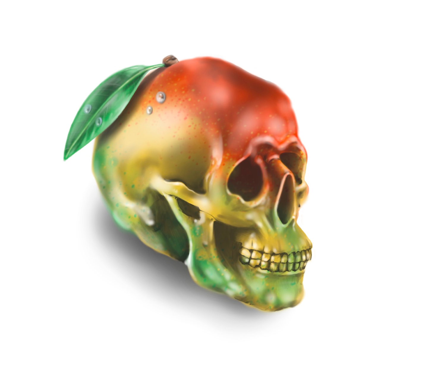 Mango skull illustration for Tractor Beam mini issue